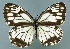  ( - GCB-M 3)  @13 [ ] Copyright (2009) Unspecified Unspecified