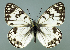  ( - GCB-M 7)  @14 [ ] Copyright (2009) Unspecified Unspecified