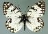  ( - GCB-M 8)  @14 [ ] Copyright (2009) Unspecified Unspecified