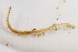  ( - MJETF04)  @11 [ ] CreativeCommons  Attribution Share-Alike (by-sa) (2023) Mardon J Erbland Unspecified