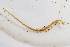 ( - MJETF04)  @11 [ ] CreativeCommons  Attribution Share-Alike (by-sa) (2023) Mardon J Erbland Unspecified