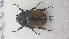  ( - MEUNAH-0093)  @12 [ ] creative commons  non-commercial only (2017) UNAH UNAH