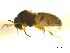  ( - BIOUG01784-C08)  @12 [ ] CreativeCommons - Attribution (2012) CBG Photography Group Centre for Biodiversity Genomics