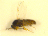  ( - BIOUG01784-C09)  @12 [ ] CreativeCommons - Attribution (2012) CBG Photography Group Centre for Biodiversity Genomics