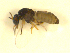  ( - BIOUG01784-D02)  @13 [ ] CreativeCommons - Attribution (2012) CBG Photography Group Centre for Biodiversity Genomics