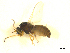  ( - BIOUG01784-D03)  @14 [ ] CreativeCommons - Attribution (2012) CBG Photography Group Centre for Biodiversity Genomics