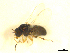  ( - BIOUG01784-D04)  @13 [ ] CreativeCommons - Attribution (2012) CBG Photography Group Centre for Biodiversity Genomics