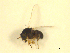  ( - BIOUG01784-D06)  @13 [ ] CreativeCommons - Attribution (2012) CBG Photography Group Centre for Biodiversity Genomics