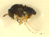  ( - BIOUG01784-D09)  @12 [ ] CreativeCommons - Attribution (2012) CBG Photography Group Centre for Biodiversity Genomics