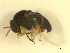  ( - BIOUG01784-D11)  @13 [ ] CreativeCommons - Attribution (2012) CBG Photography Group Centre for Biodiversity Genomics