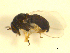  ( - BIOUG01784-D12)  @13 [ ] CreativeCommons - Attribution (2012) CBG Photography Group Centre for Biodiversity Genomics