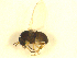  ( - BIOUG01784-E04)  @13 [ ] CreativeCommons - Attribution (2012) CBG Photography Group Centre for Biodiversity Genomics