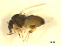 ( - BIOUG01784-E06)  @13 [ ] CreativeCommons - Attribution (2012) CBG Photography Group Centre for Biodiversity Genomics