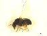  ( - BIOUG01784-E07)  @13 [ ] CreativeCommons - Attribution (2012) CBG Photography Group Centre for Biodiversity Genomics