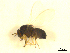  ( - BIOUG01784-E08)  @13 [ ] CreativeCommons - Attribution (2012) CBG Photography Group Centre for Biodiversity Genomics