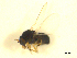  ( - BIOUG01784-E09)  @13 [ ] CreativeCommons - Attribution (2012) CBG Photography Group Centre for Biodiversity Genomics