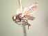  ( - BUIC-AK020)  @12 [ ] Unspecified (default): All Rights Reserved  Unspecified Unspecified