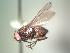  ( - BUIC-AK022)  @12 [ ] Unspecified (default): All Rights Reserved  Unspecified Unspecified