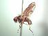  ( - BUIC-AK053)  @12 [ ] Unspecified (default): All Rights Reserved  Unspecified Unspecified