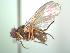  ( - BUIC-AK054)  @12 [ ] Unspecified (default): All Rights Reserved  Unspecified Unspecified