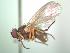  ( - BUIC-AK054)  @12 [ ] Unspecified (default): All Rights Reserved  Unspecified Unspecified
