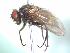  ( - BUIC-AK056)  @13 [ ] Unspecified (default): All Rights Reserved  Unspecified Unspecified