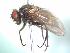  ( - BUIC-AK056)  @13 [ ] Unspecified (default): All Rights Reserved  Unspecified Unspecified