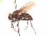  ( - BUIC-AK127)  @13 [ ] Unspecified (default): All Rights Reserved  Unspecified Unspecified