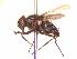  ( - BUIC-AK128)  @13 [ ] Unspecified (default): All Rights Reserved  Unspecified Unspecified