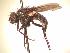  ( - BUIC-AK130)  @13 [ ] Unspecified (default): All Rights Reserved  Unspecified Unspecified