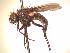  ( - BUIC-AK130)  @13 [ ] Unspecified (default): All Rights Reserved  Unspecified Unspecified
