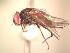  ( - BUIC-AK141)  @12 [ ] Unspecified (default): All Rights Reserved  Unspecified Unspecified