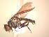  ( - BUIC-AK144)  @12 [ ] Unspecified (default): All Rights Reserved  Unspecified Unspecified