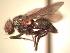 ( - BUIC-AK200)  @13 [ ] Unspecified (default): All Rights Reserved  Unspecified Unspecified
