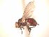  ( - BUIC-AK268)  @11 [ ] Unspecified (default): All Rights Reserved  Unspecified Unspecified