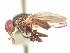  ( - BUIC-AK273)  @13 [ ] Unspecified (default): All Rights Reserved  Unspecified Unspecified