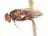  ( - BUIC-AK274)  @12 [ ] Unspecified (default): All Rights Reserved  Unspecified Unspecified