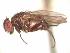  ( - BUIC-AK274)  @13 [ ] Unspecified (default): All Rights Reserved  Unspecified Unspecified