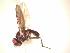  ( - BUIC-AK275)  @12 [ ] Unspecified (default): All Rights Reserved  Unspecified Unspecified