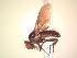 ( - BUIC-AK276)  @13 [ ] Unspecified (default): All Rights Reserved  Unspecified Unspecified