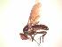  ( - BUIC-AK276)  @13 [ ] Unspecified (default): All Rights Reserved  Unspecified Unspecified