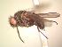  ( - BUIC-AK279)  @12 [ ] Unspecified (default): All Rights Reserved  Unspecified Unspecified