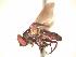  ( - BUIC-AK283)  @12 [ ] Unspecified (default): All Rights Reserved  Unspecified Unspecified