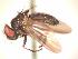  ( - BUIC-AK284)  @12 [ ] Unspecified (default): All Rights Reserved  Unspecified Unspecified