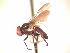  ( - BUIC-AK285)  @13 [ ] Unspecified (default): All Rights Reserved  Unspecified Unspecified