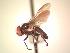  ( - BUIC-AK285)  @13 [ ] Unspecified (default): All Rights Reserved  Unspecified Unspecified