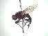  ( - BUIC-CHU0077)  @12 [ ] Unspecified (default): All Rights Reserved  Unspecified Unspecified