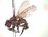  ( - BUIC-CHU0420)  @13 [ ] Unspecified (default): All Rights Reserved  Unspecified Unspecified