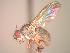  ( - BUIC-CHU1028)  @11 [ ] Unspecified (default): All Rights Reserved  Unspecified Unspecified