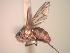  ( - BUIC-CHU826)  @12 [ ] Unspecified (default): All Rights Reserved  Unspecified Unspecified